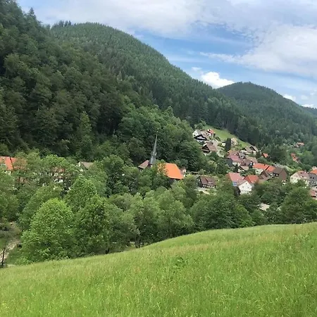 Apartment Haus An Der Sieber Zimmer 2 *